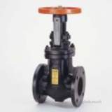 CRANE F84 A150 CAST IRON GATE VALVE 80