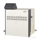 Potterton Commercial Gas Boilers products