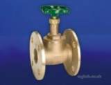 HNH-17PN16 FLANGED BRONZE GLOBE VALVE 20