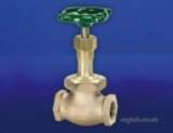 Hnh 23 Bronze Globe Valve Class 300 1/2