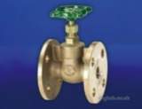 Hnh-35pn16 Flanged Bronze Gate Valve 100