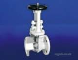 HATTERSLEY HNH-544-E CI GATE VALVE 4