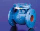 Hnh M650 Sg Iron Pn25 Check Valve 100
