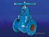 HNH M731 CI GLOBE VALVE PN16 65MM