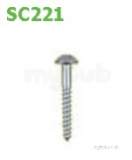 2 X No.16 Domehead Zinc Screw Sc221