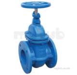 Pegler V951 Ci Pn6 Gate Valve 100