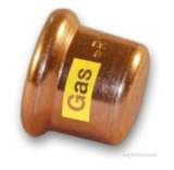 Pegler Yorkshire Sg61 15mm Gas Xpress Stop End