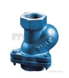 50 Cast Iron Bsp Ball Check Valve 25