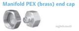PEX PLUMB SYS MFLD PEX VCAP DZR 3/4 inch FT