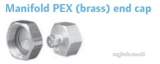 Pex Plumb Sys Mfld Pex Vcap Dzr 3/4 Inch Ft