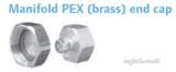 Pex Plumb Sys Mfld Pex Cap Dzr 3/4 Inch Ft