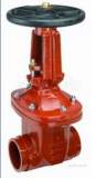 FIRELOCK 168.3 771H OS and Y GATE VALVE 150