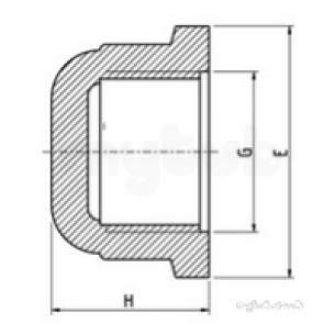 Plasson Fittings -  1/2 Inch Plasson Thd Cap 5077 5077100