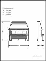 Flavel Gas Fires -  Flavel Regent Black Ods Gas Fire Ng