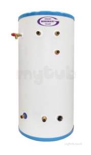 Grant Uk Stainless Steel Cylinders -  Monowave 300l Indirect Cyl Ashp Erp