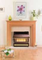 Robinson Willey Gas Fires and Wall Heaters -  Robinson Rob Willey Sahara Bronze Ng