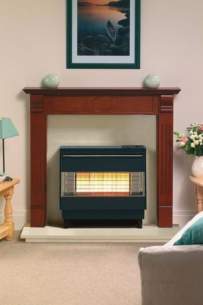 Robinson Willey Gas Fires and Wall Heaters -  R W Firegem Visa Highline Black Electrnc