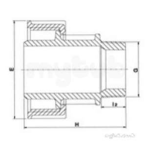 Plasson Agrifit -  Agrifit Thd Adaptor Bsp Offtake 40-11/4
