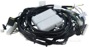 Worcester Boiler Spares -  Buderus 7746900064 Main Harness