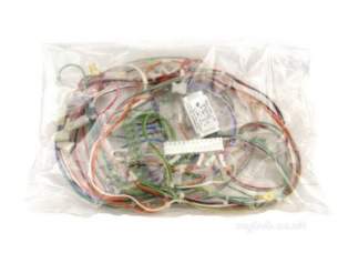 Keston Boiler -  Keston B13410002 Harness