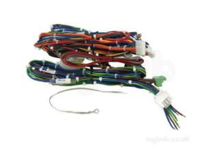 Keston Boiler -  Keston C17403000 Harness Complete