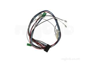 Biasi Uk Ltd -  Biasi Bi1365102 Ae-se Sensors Wiring