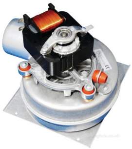 Biasi Uk Ltd -  Biasi Bi1256102 Fan Assembly
