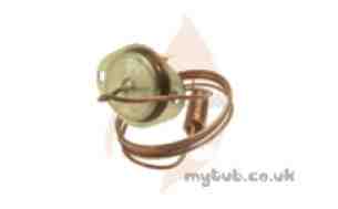 Parts Obsolete Lines -  Worcester 87161423320 Thermostat L05p1038