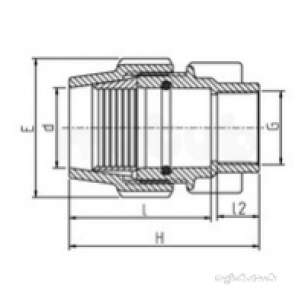 Plasson Fittings -  1x1 Inch Bsp Plasson N/gauge F Adap 7538