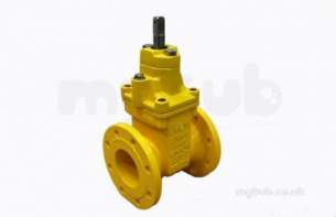 Aeon Valves -  Aeon Rs Pn16 Gas Gate Valve Plus Stem Cap 100