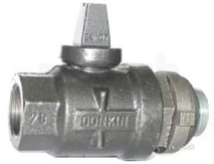 Avk Valves -  Donkin 55ld Sgi Bsp Ball Valve Plus Cap 20