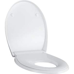 Geberit Sanitaryware -  Geberit Family Sftcls S And Cqck Rls Top Fix Hinge 500.339.01.1