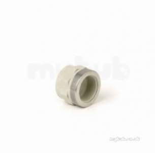 Durapipe Pp Socket Fusion -  Durapipe Pp Beige Skt Plain/bsp Threaded Din 16962 63