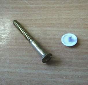 Armitage Grips Levers and Wastes -  Armitage Shanks Domex S9101 Screws Pair White S910101