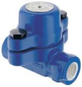 Spirax Sarco -  Spirax Avc32 Steel Bsp Steam Air Vent 20