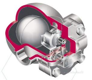 Spirax Sarco -  Spirax Ft14-10 C Bsp Steam Trap 25