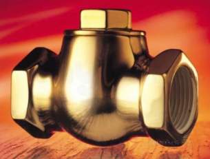 Spirax Sarco -  Spirax Lcv1 Bsp Mushroom Check Valve 20