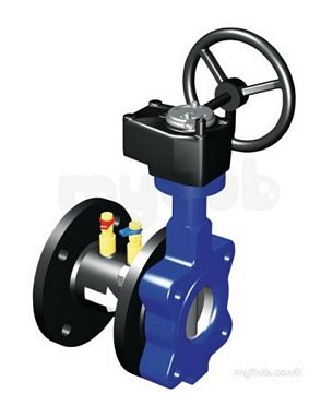 Ballorex Venturi Commissioning Valves -  Ballorex 900xss Pn16 Venturi 65 15028