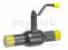 Ballomax Pb1003 Bw X Bw Ball Valve 100