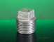 Crane Galv Steel Solid Plug-148g 1