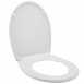 Casablanca Seat And Cover Tf Ss Soft Close C Qr Hinge 20120728