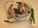 Baxi 246052 Fan Assembly