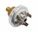 Worcester 87161461370 Water Pressure Switch