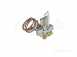 Glow Worm 174578 Oxypilot Assembly Ng9403 S451477