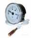 Vaillant 101002 Temperature Gauge