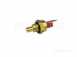 Glowworm 0020191787 Display
