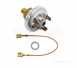Worcester 87161051110 Water Pressure Switch