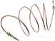 Wavin Comfia Barrier Pipe Coil 12mm 50m 12cs050