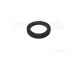 Trianco Flue Cover Plate Cont. He Combi 110 224346