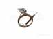 Broag S50629 High Temp Cut Out Stat